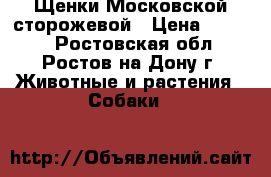 Щенки Московской сторожевой › Цена ­ 7 000 - Ростовская обл., Ростов-на-Дону г. Животные и растения » Собаки   